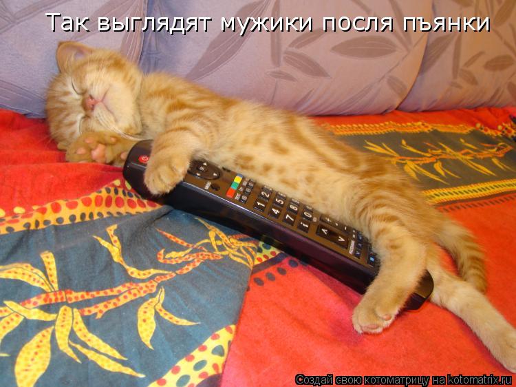 Так выглядят мужики посля пъянки... Котоматрица: Так выглядят мужики посля пъянки