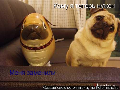 Кому я теперь нужен Кому я теперь нужен Меня заменили... Котоматрица: Кому я теперь нужен Кому я теперь нужен Меня заменили