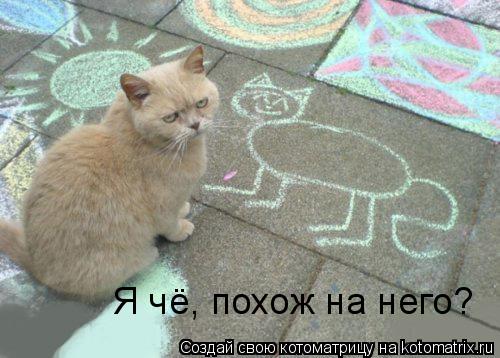 Я чё, похож на него?... Котоматрица: Я чё, похож на него?