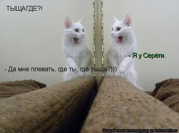 ТЫЩАГДЕ?! - Я у Серёги… - Да мне плевать, где ты, где тыща?)))... Котоматрица: ТЫЩАГДЕ?! - Я у Серёги… - Да мне плевать, где ты, где тыща?)))