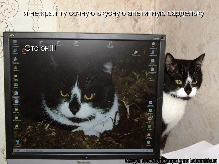 я не крал ту сочную вкусную апетитную сардельку Это он!!!... Котоматрица: я не крал ту сочную вкусную апетитную сардельку Это он!!!