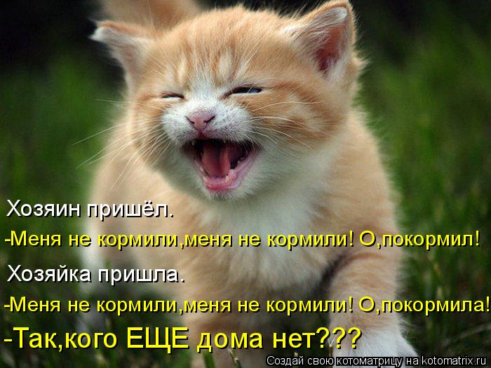Хозяйка пришла. Хозяин пришёл. -Меня не кормили,меня не кормили! О,покормил! -Меня не кормили,меня не... Котоматрица: Хозяйка пришла. Хозяин пришёл. -Меня не кормили,меня не кормили! О,покормил! -Меня не кормили,меня не кормили! О,покормила! -Так,кого ЕЩЕ дома н