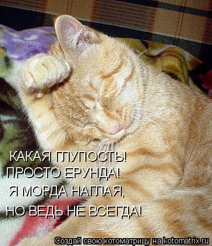 КАКАЯ ГЛУПОСТЬ! ПРОСТО ЕРУНДА! Я МОРДА НАГЛАЯ, НО ВЕДЬ НЕ ВСЕГДА!... Котоматрица: КАКАЯ ГЛУПОСТЬ! ПРОСТО ЕРУНДА! Я МОРДА НАГЛАЯ, НО ВЕДЬ НЕ ВСЕГДА!