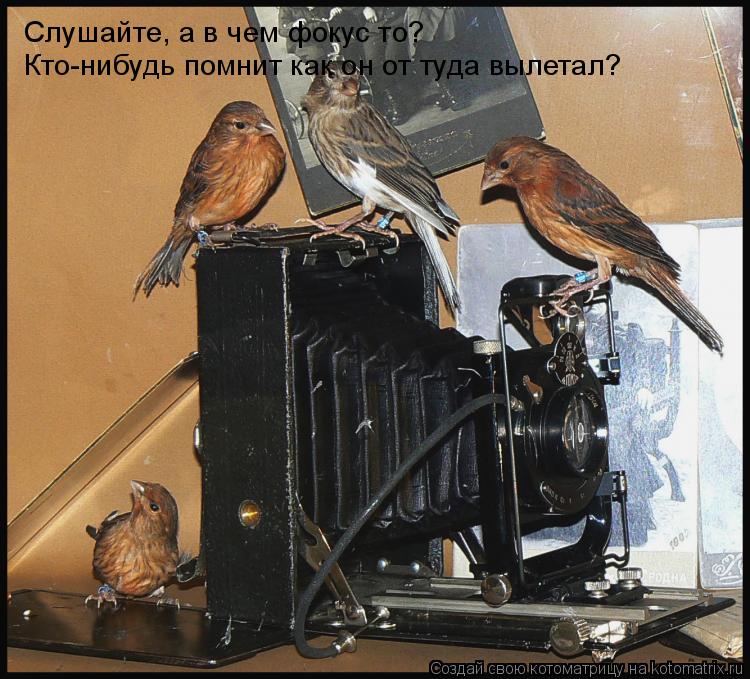 Слушайте, а в чем фокус то? Кто-нибудь помнит как он от туда вылетал?... Котоматрица: Слушайте, а в чем фокус то? Кто-нибудь помнит как он от туда вылетал?