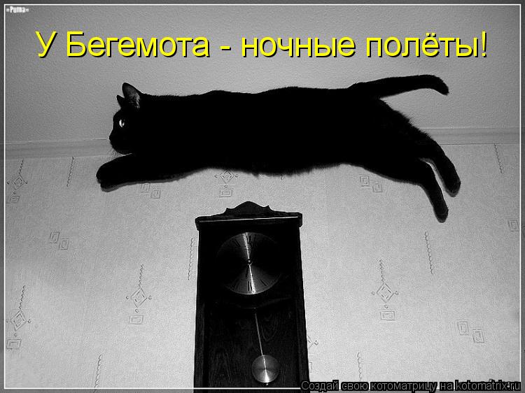 У Бегемота - ночные полёты!... Котоматрица: У Бегемота - ночные полёты!