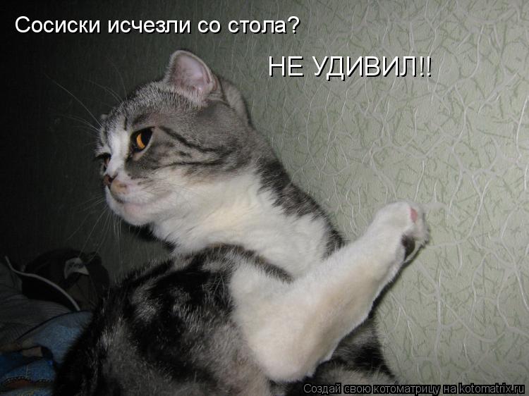Котоматрица: Сосиски исчезли со стола?  НЕ УДИВИЛ!!