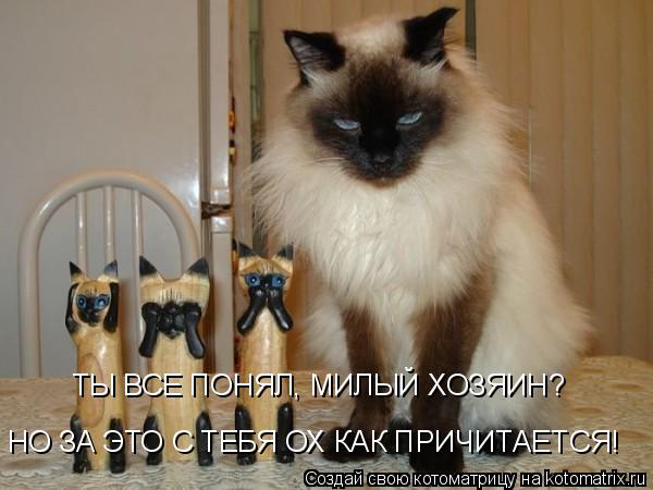 ТЫ ВСЕ ПОНЯЛ, МИЛЫЙ ХОЗЯИН? НО ЗА ЭТО С ТЕБЯ ОХ КАК ПРИЧИТАЕТСЯ!... Котоматрица: ТЫ ВСЕ ПОНЯЛ, МИЛЫЙ ХОЗЯИН? НО ЗА ЭТО С ТЕБЯ ОХ КАК ПРИЧИТАЕТСЯ!