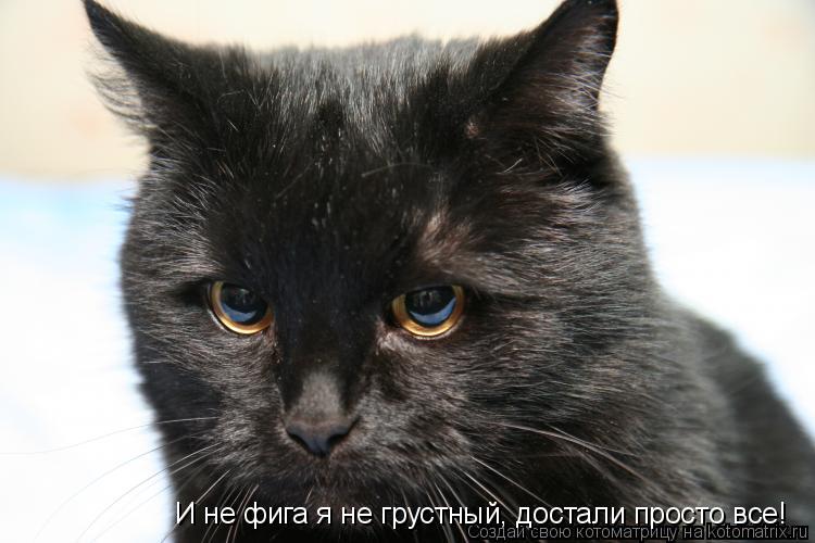 И не фига я не грустный, достали просто все!... Котоматрица: И не фига я не грустный, достали просто все!