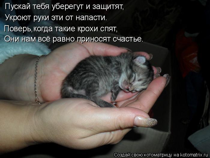 Пускай тебя уберегут и защитят, Поверь,когда такие крохи спят, Они нам всё равно приносят счастье. Ук... Котоматрица: Пускай тебя уберегут и защитят, Поверь,когда такие крохи спят, Они нам всё равно приносят счастье. Укроют руки эти от напасти.