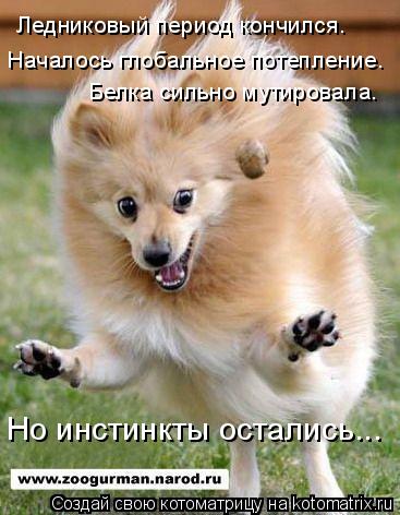 Ледниковый период кончился. Началось глобальное потепление. Белка сильно мутировала. Но инстинкты ост... Котоматрица: Ледниковый период кончился. Началось глобальное потепление. Белка сильно мутировала. Но инстинкты остались...