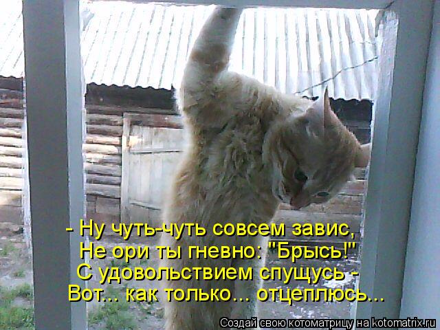 - Ну чуть-чуть совсем завис, Не ори ты гневно: "Брысь!" С удовольствием спущусь - Вот... как только.... Котоматрица: - Ну чуть-чуть совсем завис, Не ори ты гневно: "Брысь!" С удовольствием спущусь - Вот... как только... отцеплюсь...