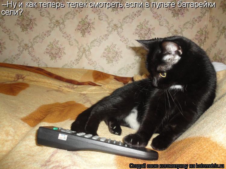 --Ну и как теперь телек смотреть,если в пульте батарейки сели?... Котоматрица: --Ну и как теперь телек смотреть,если в пульте батарейки сели?