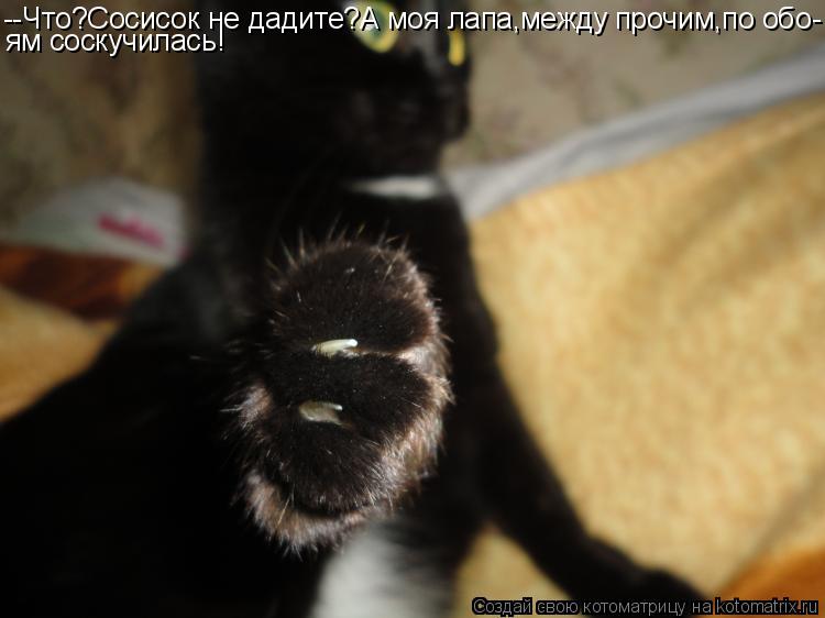 --Что?Сосисок не дадите?А моя лапа,между прочим,по обо- ям соскучилась!... Котоматрица: --Что?Сосисок не дадите?А моя лапа,между прочим,по обо- ям соскучилась!