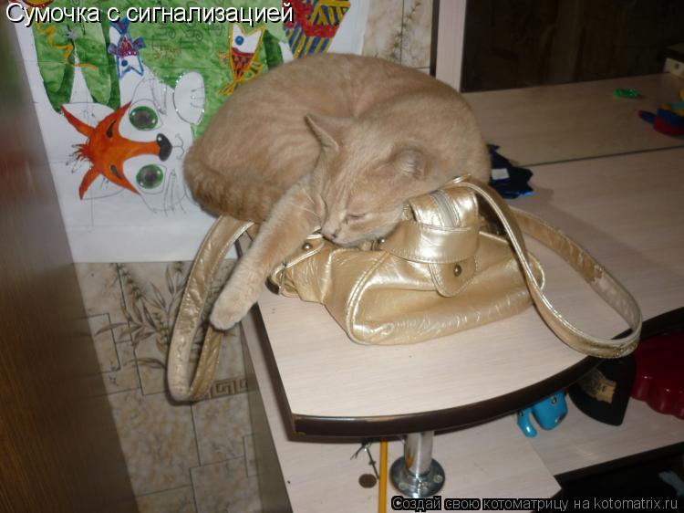 Сумочка с сигнализацией... Котоматрица: Сумочка с сигнализацией