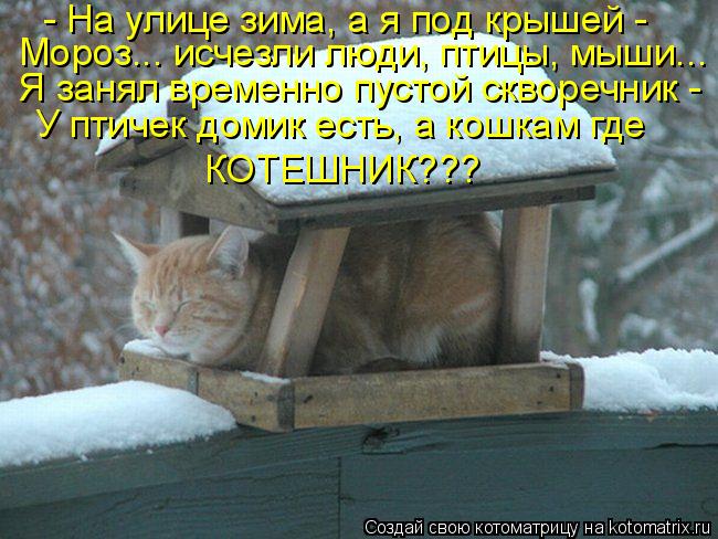 - На улице зима, а я под крышей - Мороз... исчезли люди, птицы, мыши... Я занял временно пустой скв... Котоматрица: - На улице зима, а я под крышей - Мороз... исчезли люди, птицы, мыши... Я занял временно пустой скворечник - У птичек домик есть, а кошкам где КОТ