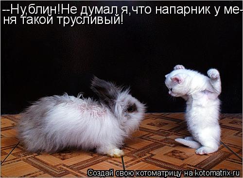 --Ну,блин!Не думал я,что напарник у ме- ня такой трусливый!... Котоматрица: --Ну,блин!Не думал я,что напарник у ме- ня такой трусливый!