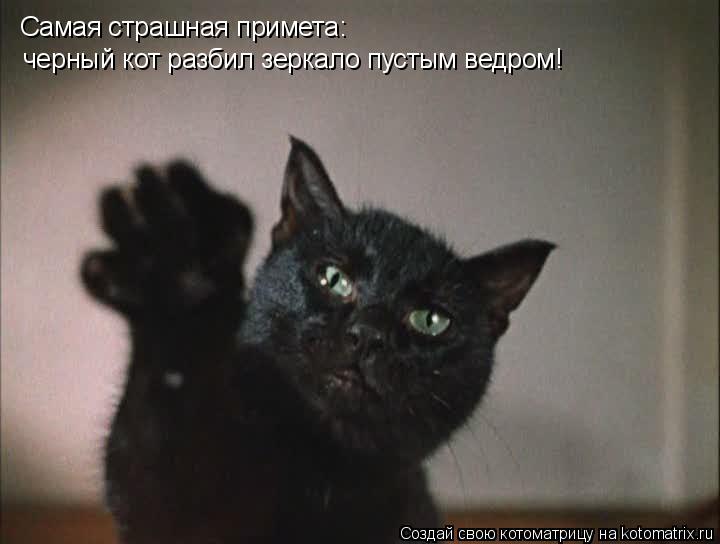 Самая страшная примета: черный кот разбил зеркало пустым ведром!... Котоматрица: Самая страшная примета: черный кот разбил зеркало пустым ведром!