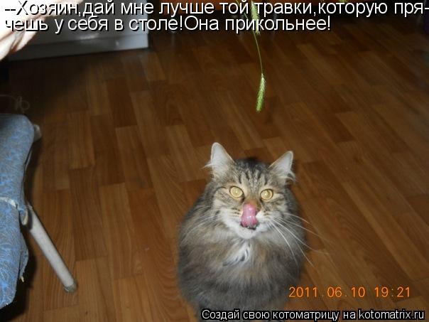 --Хозяин,дай мне лучше той травки,которую пря- чешь у себя в столе!Она прикольнее!... Котоматрица: --Хозяин,дай мне лучше той травки,которую пря- чешь у себя в столе!Она прикольнее!