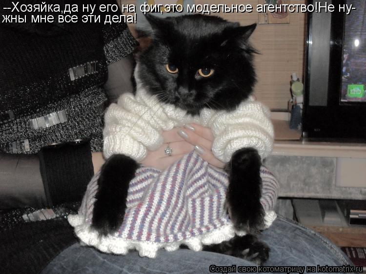 --Хозяйка,да ну его на фиг,это модельное агентство!Не ну- жны мне все эти дела!... Котоматрица: --Хозяйка,да ну его на фиг,это модельное агентство!Не ну- жны мне все эти дела!