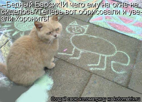 --Бедный Барсик!И чего ему на окне не сиделось?Теперь вот обрисовали и уве- зли хоронить!... Котоматрица: --Бедный Барсик!И чего ему на окне не сиделось?Теперь вот обрисовали и уве- зли хоронить!