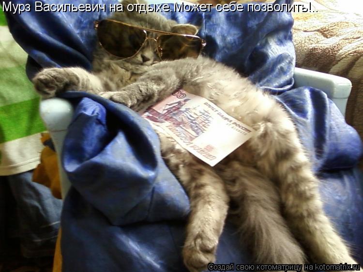 Мурз Васильевич на отдыхе.Может себе позволить!..... Котоматрица: Мурз Васильевич на отдыхе.Может себе позволить!..