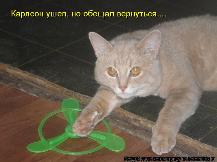 Карлсон ушел, но обещал вернуться....... Котоматрица: Карлсон ушел, но обещал вернуться....