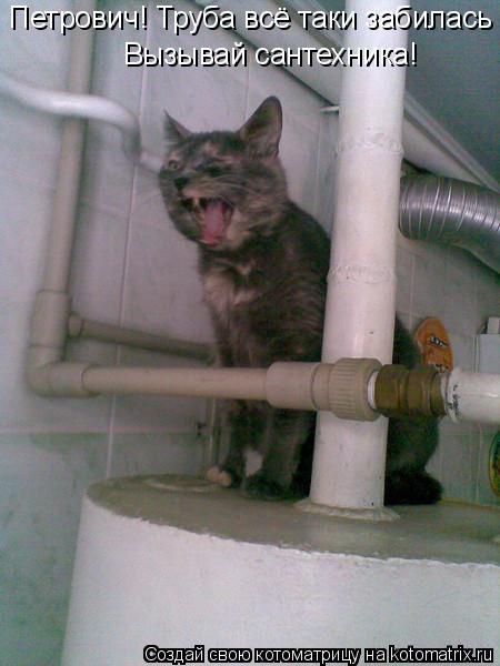 Петрович! Труба всё таки забилась Вызывай сантехника!... Котоматрица: Петрович! Труба всё таки забилась Вызывай сантехника!
