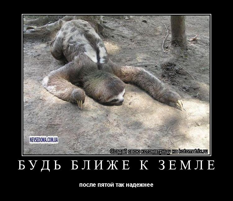 Будь ближе к земле после пятой так надежнее... Котоматрица: Будь ближе к земле после пятой так надежнее