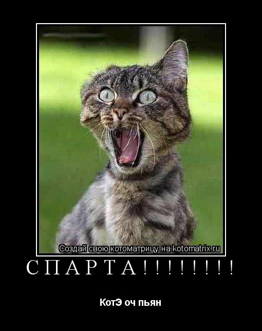 СПАРТА!!!!!!!! КотЭ оч пьян... Котоматрица: СПАРТА!!!!!!!! КотЭ оч пьян