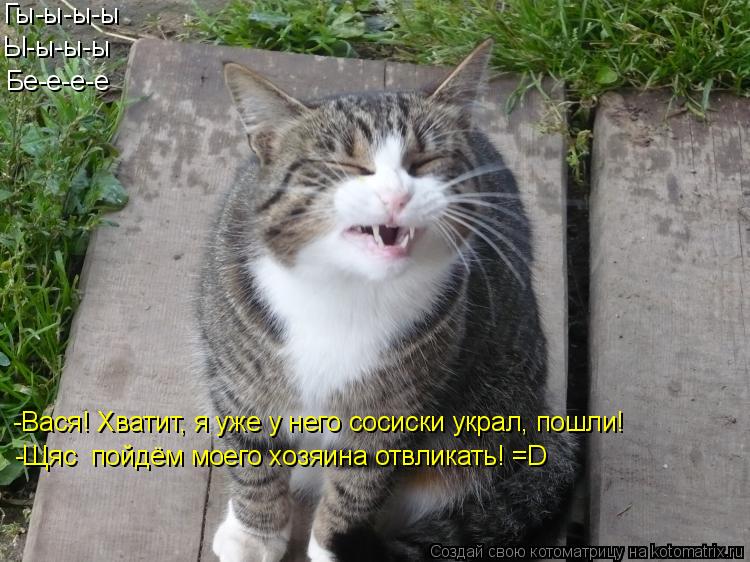 Гы-ы-ы-ы Ы-ы-ы-ы Бе-е-е-е -Вася! Хватит, я уже у него сосиски украл, пошли! -Щяс пойдём моего хозяин... Котоматрица: Гы-ы-ы-ы Ы-ы-ы-ы Бе-е-е-е -Вася! Хватит, я уже у него сосиски украл, пошли! -Щяс пойдём моего хозяина отвликать! =D