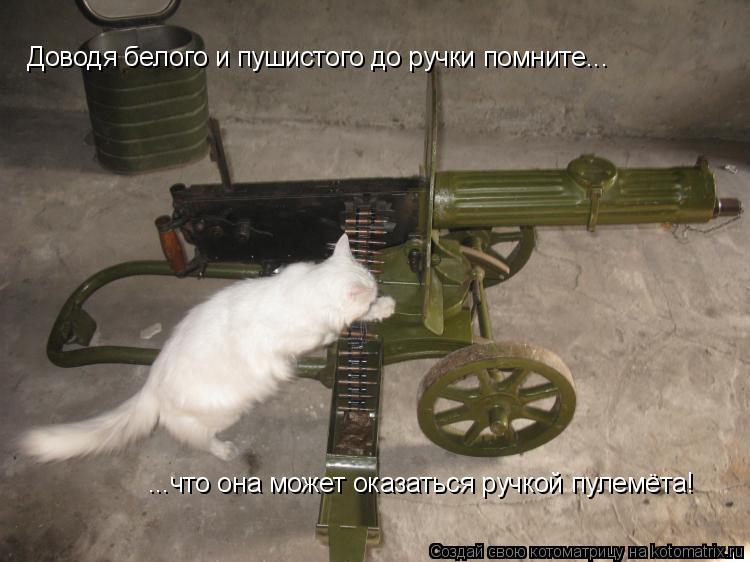 Доводя белого и пушистого до ручки помните... ...что она может оказаться ручкой пулемёта!... Котоматрица: Доводя белого и пушистого до ручки помните... ...что она может оказаться ручкой пулемёта!