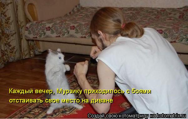 Каждый вечер, Мурзику приходилось с боями отстаивать свое место на диване отстаивать свое место на д... Котоматрица: Каждый вечер, Мурзику приходилось с боями отстаивать свое место на диване отстаивать свое место на диване