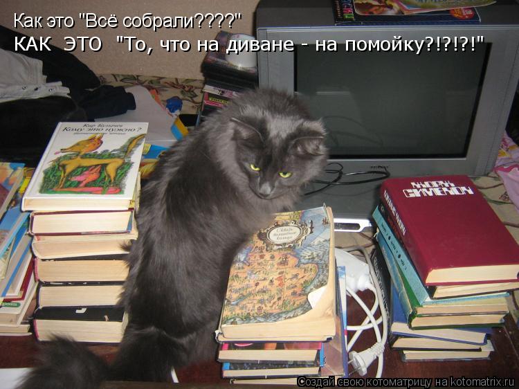 Как это "Всё собрали????" КАК ЭТО "То, что на диване - на помойку?!?!?!"... Котоматрица: Как это "Всё собрали????" КАК ЭТО "То, что на диване - на помойку?!?!?!"