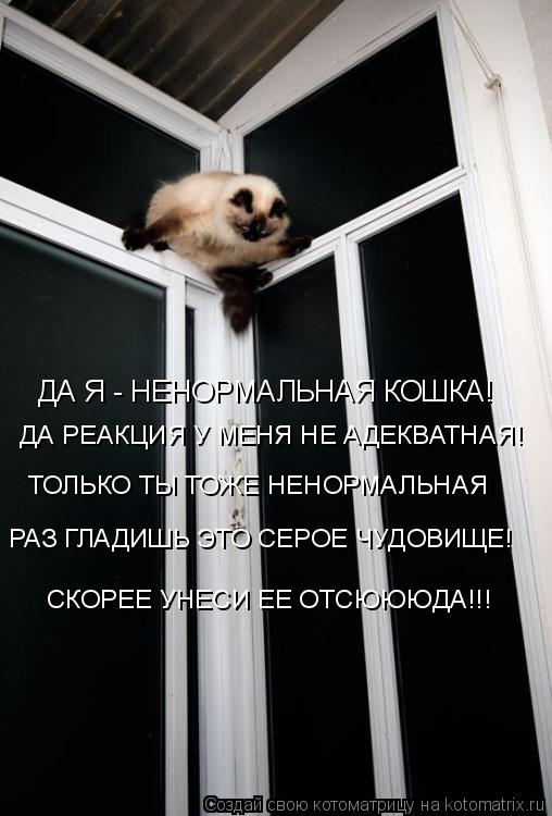 ДА Я - НЕНОРМАЛЬНАЯ КОШКА! ДА РЕАКЦИЯ У МЕНЯ НЕ АДЕКВАТНАЯ! ТОЛЬКО ТЫ ТОЖЕ НЕНОРМАЛЬНАЯ РАЗ ГЛАДИШЬ Э... Котоматрица: ДА Я - НЕНОРМАЛЬНАЯ КОШКА! ДА РЕАКЦИЯ У МЕНЯ НЕ АДЕКВАТНАЯ! ТОЛЬКО ТЫ ТОЖЕ НЕНОРМАЛЬНАЯ РАЗ ГЛАДИШЬ ЭТО СЕРОЕ ЧУДОВИЩЕ! СКОРЕЕ УНЕСИ ЕЕ ОТСЮЮ