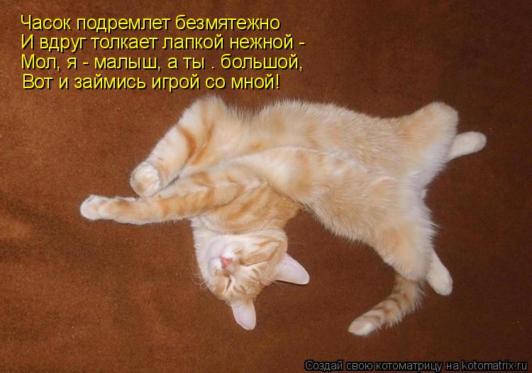 Часок подремлет безмятежно И вдруг толкает лапкой нежной - Мол, я - малыш, а ты – большой, Вот и займ... Котоматрица: Часок подремлет безмятежно И вдруг толкает лапкой нежной - Мол, я - малыш, а ты – большой, Вот и займись игрой со мной!