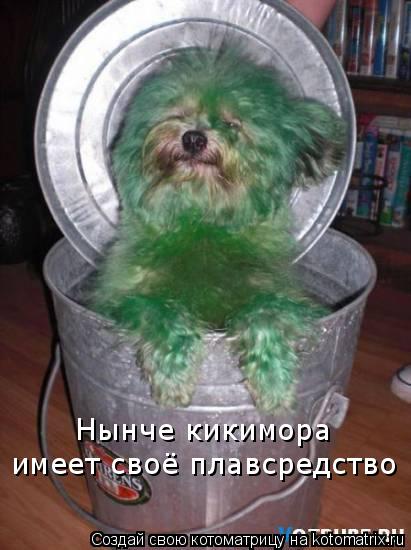 Нынче кикимора имеет своё плавсредство... Котоматрица: Нынче кикимора имеет своё плавсредство