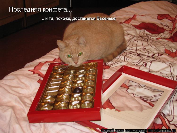 Последняя конфета... ...и та, похоже, достанется Васеньке... Котоматрица: Последняя конфета... ...и та, похоже, достанется Васеньке