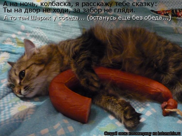 А на ночь, колбаска, я расскажу тебе сказку: Ты на двор не ходи, за забор не гляди. А то там Шарик у ... Котоматрица: А на ночь, колбаска, я расскажу тебе сказку: Ты на двор не ходи, за забор не гляди. А то там Шарик у соседа... (останусь ещё без обеда...)