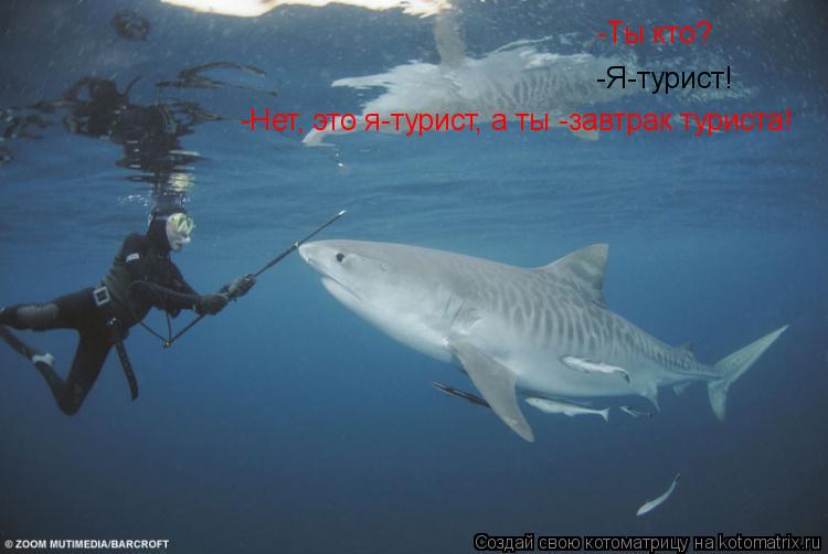-Ты кто? -Я-турист! -Нет, это я-турист, а ты -завтрак туриста!... Котоматрица: -Ты кто? -Я-турист! -Нет, это я-турист, а ты -завтрак туриста!
