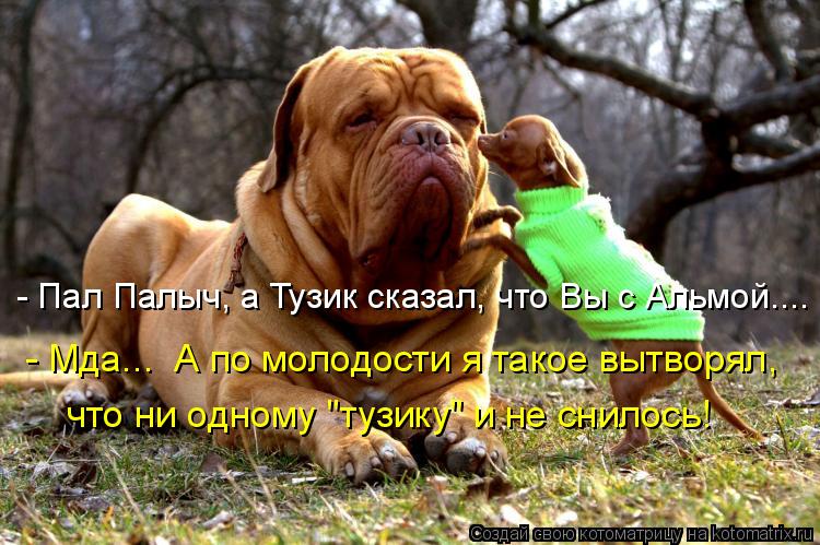 - Пал Палыч, а Тузик сказал, что Вы с Альмой.... - Мда... А по молодости я такое вытворял, что ни о... Котоматрица: - Пал Палыч, а Тузик сказал, что Вы с Альмой.... - Мда... А по молодости я такое вытворял, что ни одному "тузику" и не снилось!