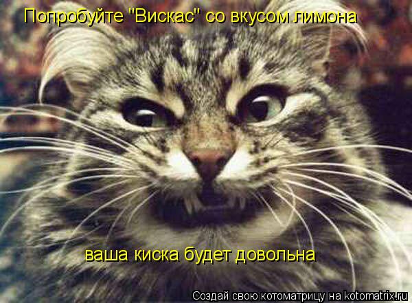 Попробуйте "Вискас" со вкусом лимона ваша киска будет довольна... Котоматрица: Попробуйте "Вискас" со вкусом лимона ваша киска будет довольна