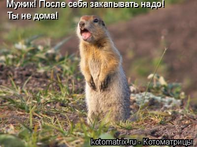 Котоматрица: Мужик! После себя закапывать надо! Ты не дома!