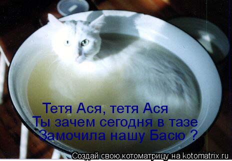 Тетя Ася, тетя Ася Ты зачем сегодня в тазе Замочила нашу Басю ?... Котоматрица: Тетя Ася, тетя Ася Ты зачем сегодня в тазе Замочила нашу Басю ?