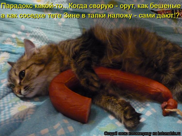 Парадокс какой-то...Когда сворую - орут, как бешеные а как соседке тете Зине в тапки наложу - сами д... Котоматрица: Парадокс какой-то...Когда сворую - орут, как бешеные а как соседке тете Зине в тапки наложу - сами дают!?
