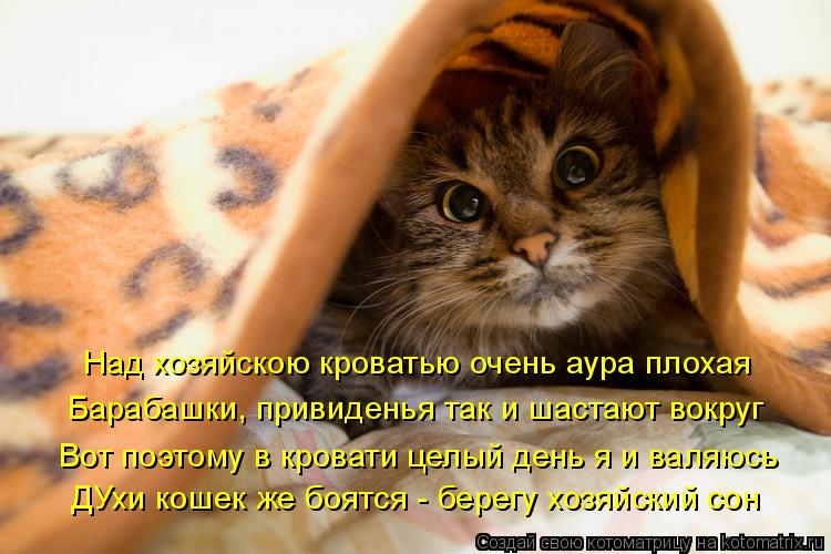 Над хозяйскою кроватью очень аура плохая Барабашки, привиденья так и шастают вокруг Вот поэтому в кро... Котоматрица: Над хозяйскою кроватью очень аура плохая Барабашки, привиденья так и шастают вокруг Вот поэтому в кровати целый день я и валяюсь ДУхи кошек