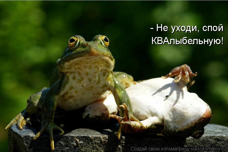 - Не уходи, спой КВАлыбельную!... Котоматрица: - Не уходи, спой КВАлыбельную!