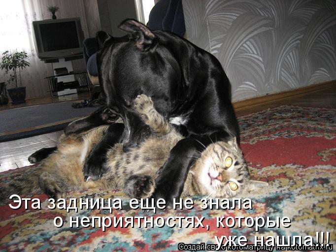 Эта задница еще не знала о неприятностях, которые уже нашла!!!... Котоматрица: Эта задница еще не знала о неприятностях, которые уже нашла!!!