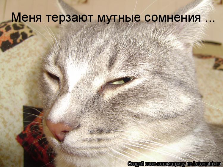 Меня терзают мутные сомнения ...... Котоматрица: Меня терзают мутные сомнения ...