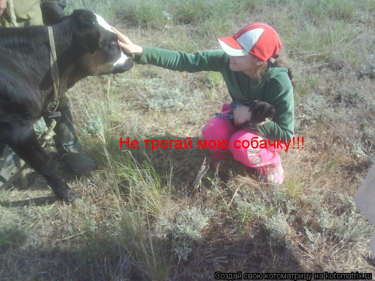 Не трогай мою собачку!!!... Котоматрица: Не трогай мою собачку!!!