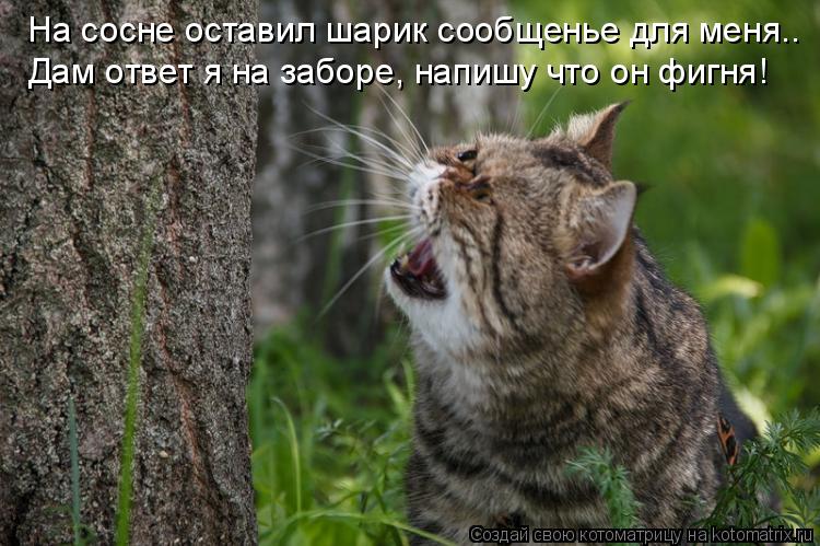 На сосне оставил шарик сообщенье для меня.. Дам ответ я на заборе, напишу что он фигня!... Котоматрица: На сосне оставил шарик сообщенье для меня.. Дам ответ я на заборе, напишу что он фигня!